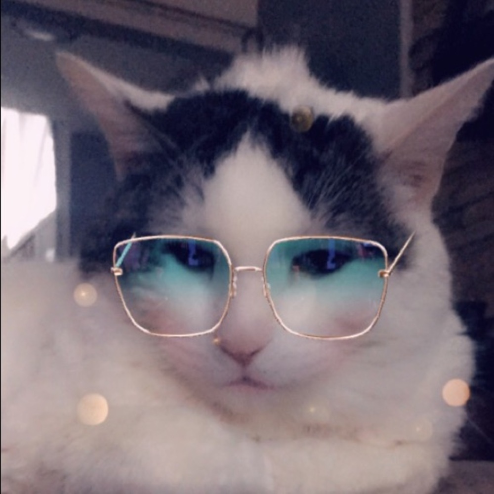 Meet your Posher, Arlo